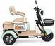 Електровелосипед ATLAS Elegant Trike 600W Green 4058 фото 4